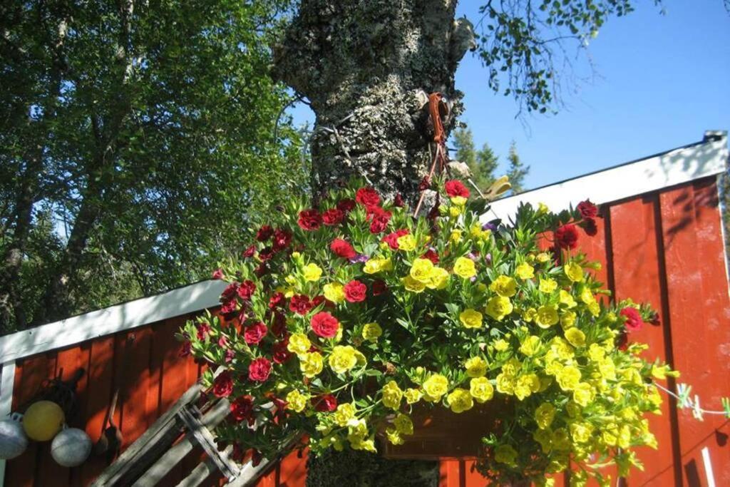Leka Holiday home Solsem