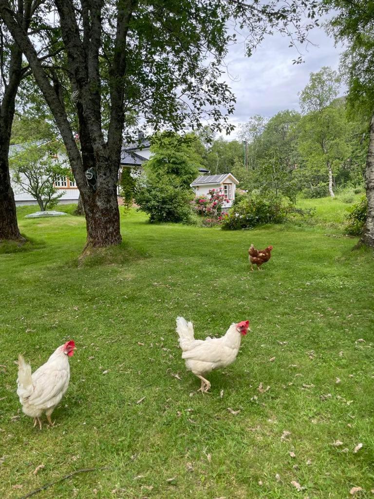 Holiday home Leka